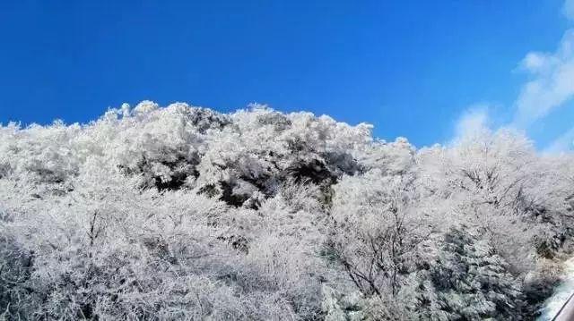 密室之逝夜流转